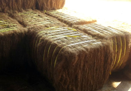 Coir Fibre